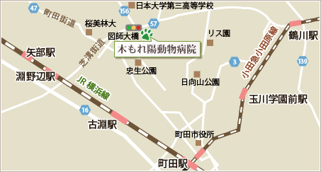 アクセス
